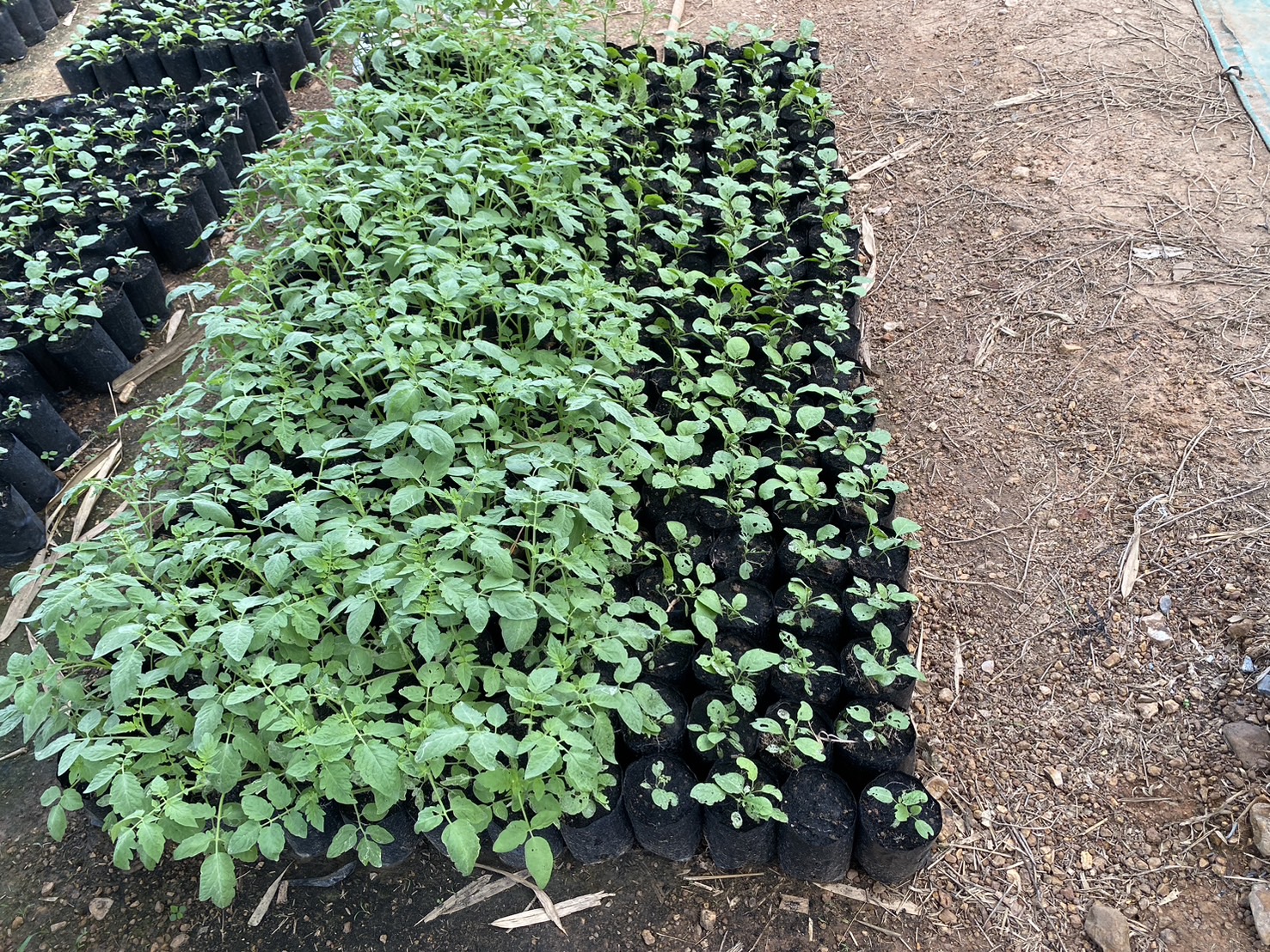 title - หัวหน้าผู้ตรวจราชการ ส.ป.ก. (เขต 3,15 และ 16) ประชุมตรวจติดตามความก้าวหน้าการดำเนินงานตามแผนงานตรวจราชการ ประจําปีงบประมาณ 2569 รอบที่ 1 ณ จังหวัดสุพรรณบุรี